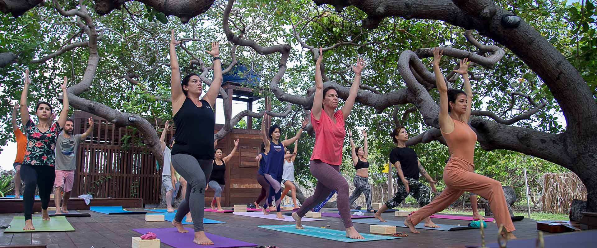 A group of people doing yoga at a yoga retreat in Convento Arcadia