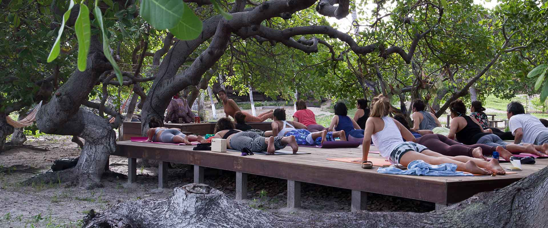 A group of people doing yoga poses in a retreat