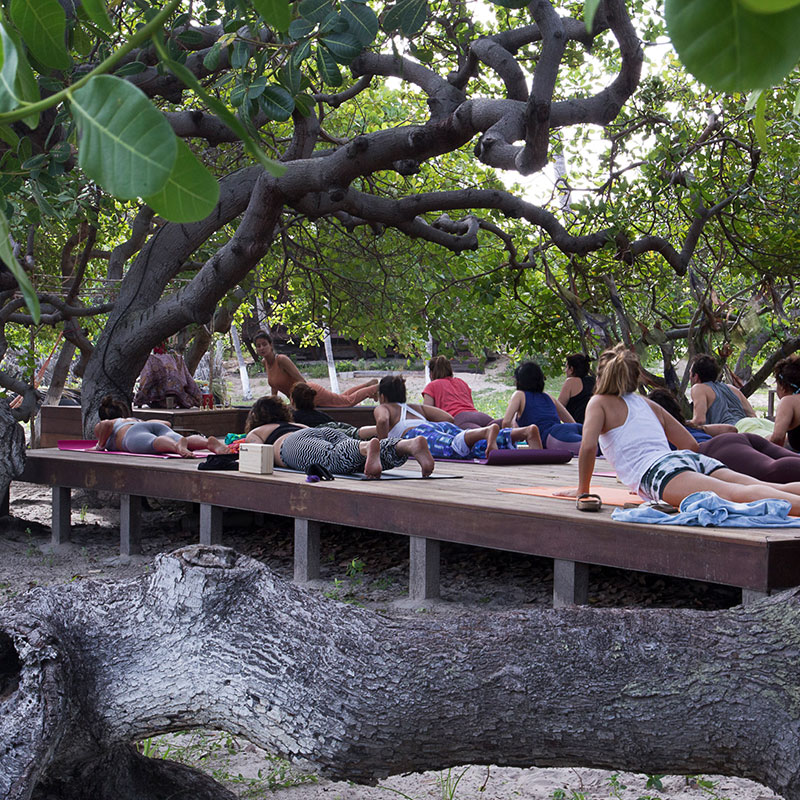 A group of people doing yoga poses in a retreat