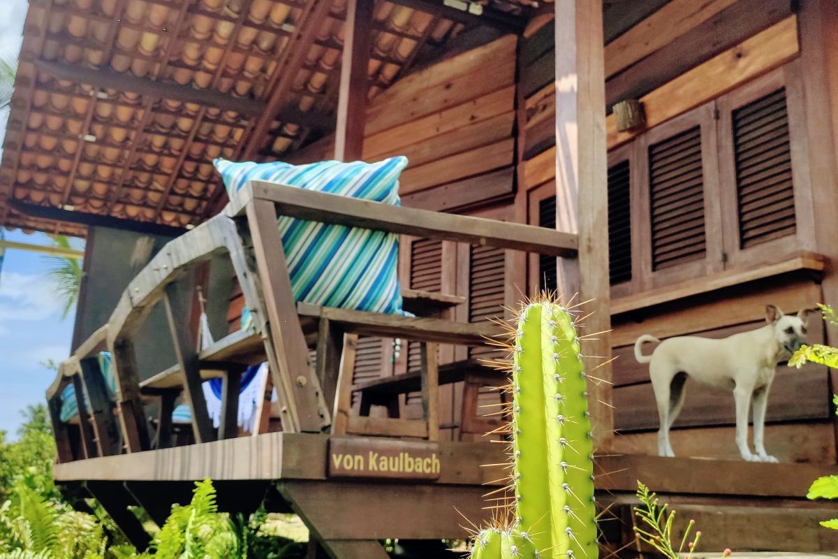 A dog standing on the deck of the Premium Chalet Quadruple at Convento Arcadia, Atins