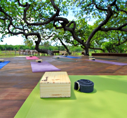 View of the Yoga Platform at Convento Arcadia, Atins