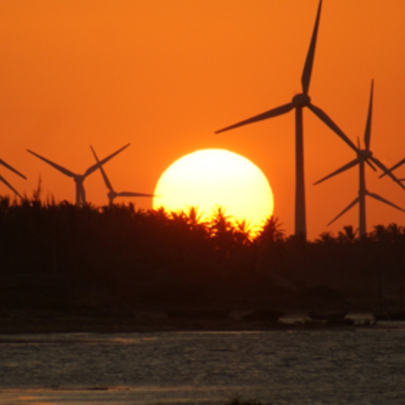 wind farms and a beautiful sunset