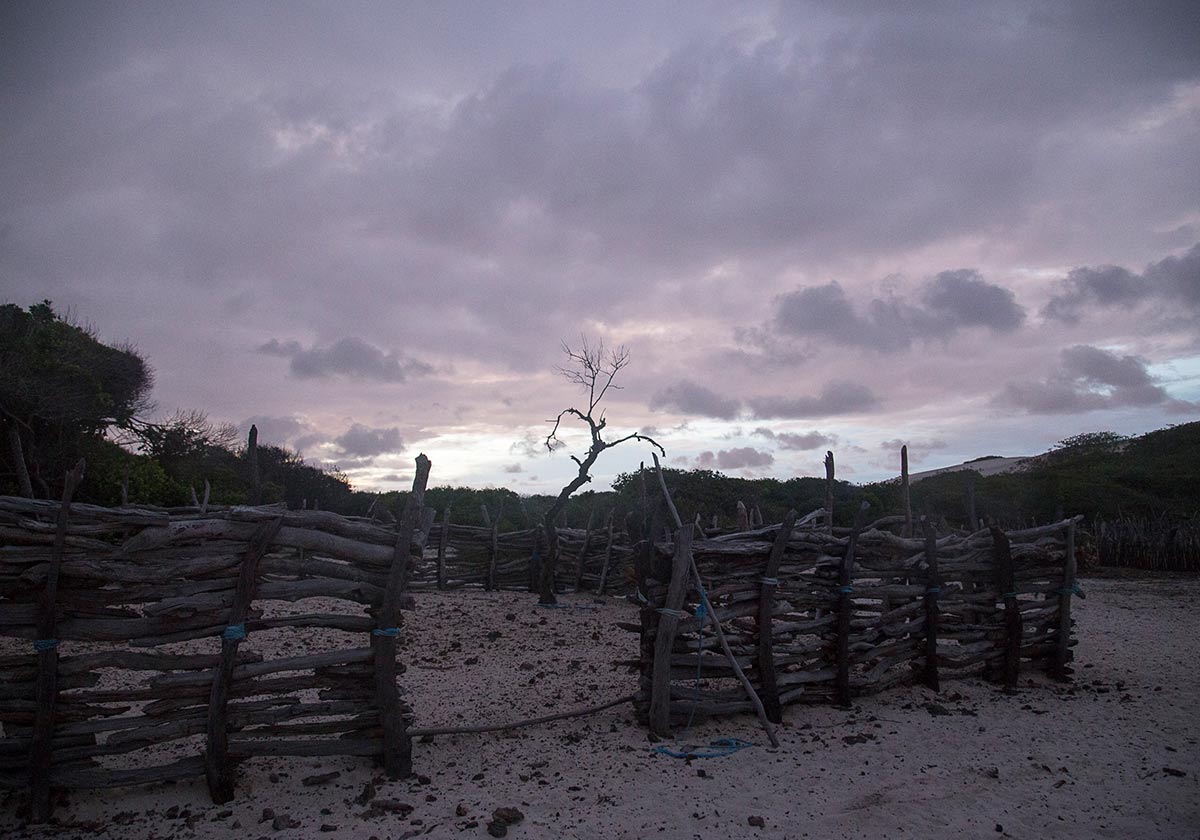 A view of a stop in Lençóis Maranhenses at sunrise