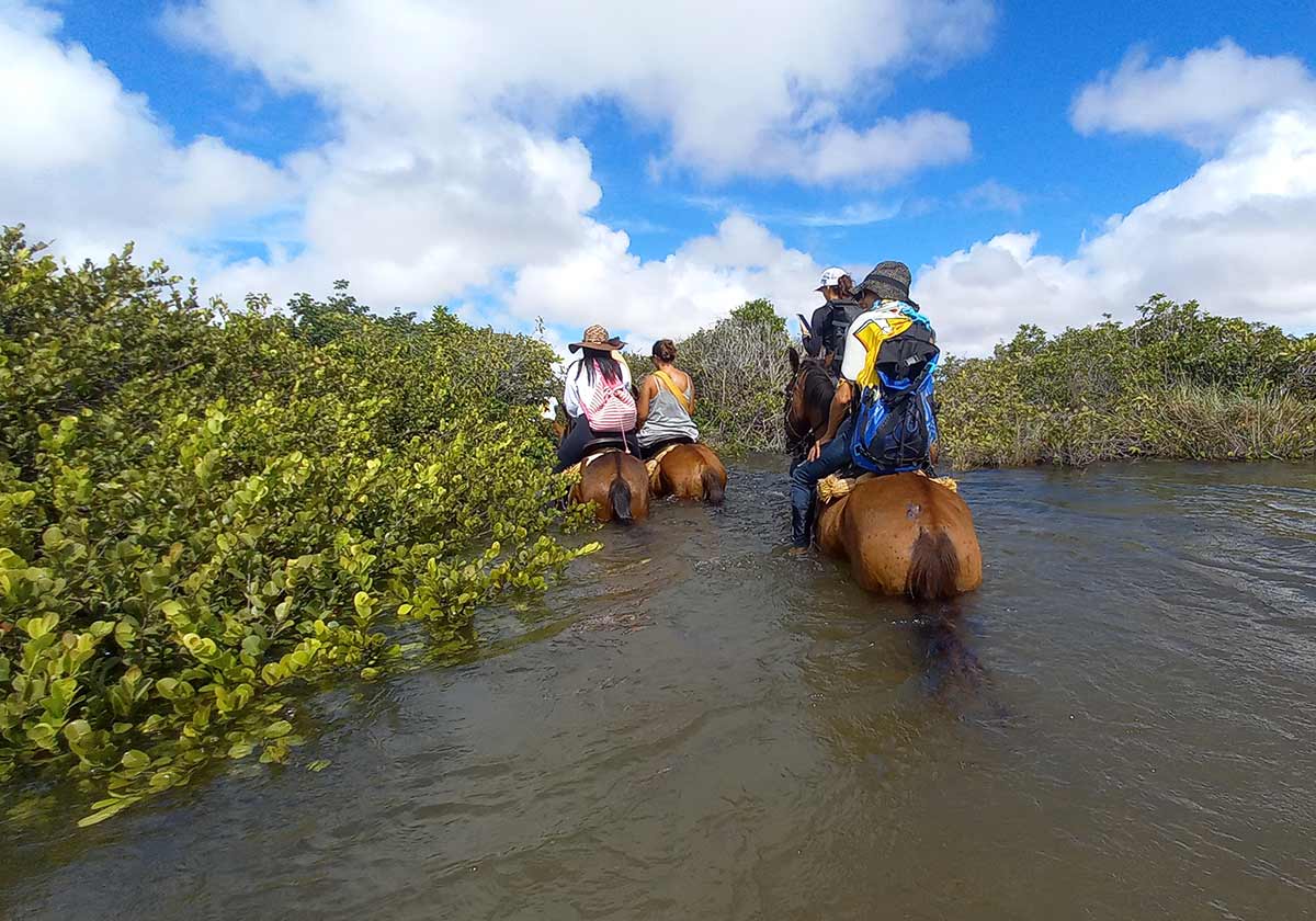 A group of people horseback riding across a river