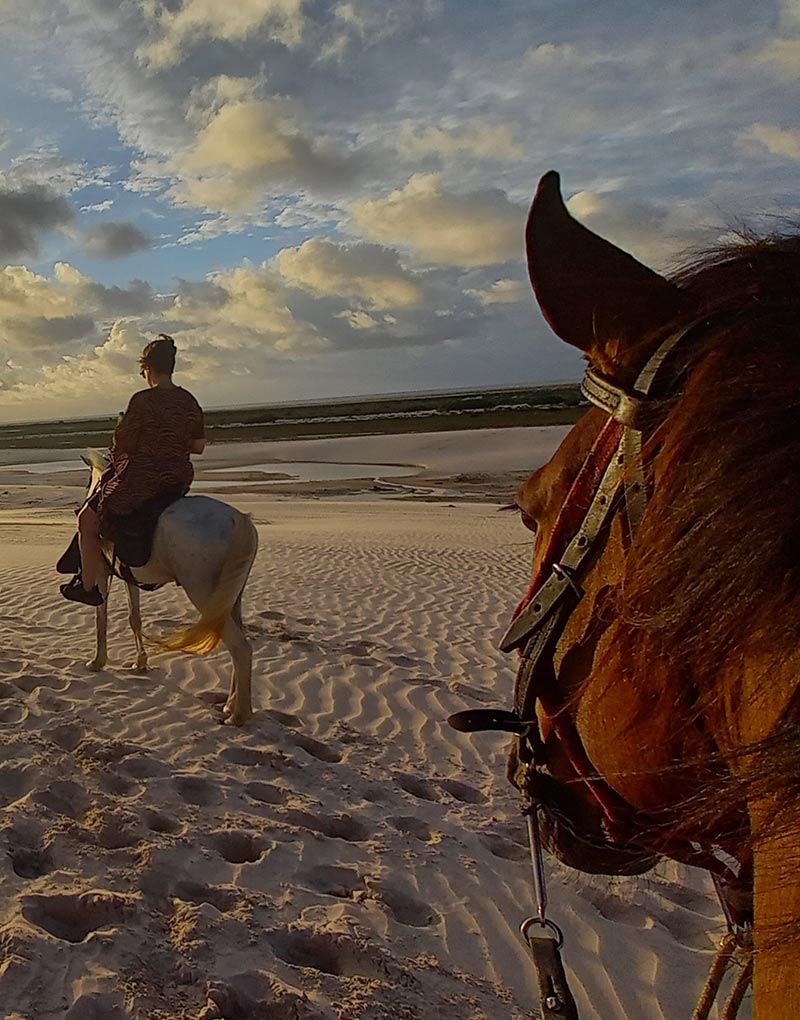 Person on a horseback riding tour across the National Park in Atins