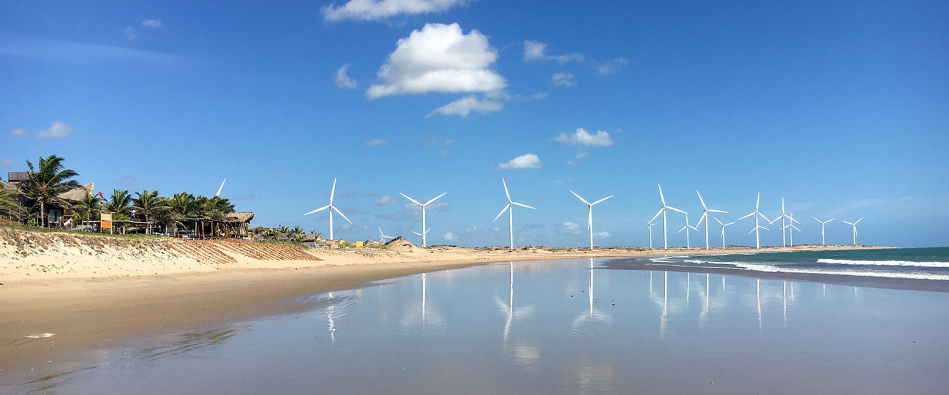 wind mills at the beach