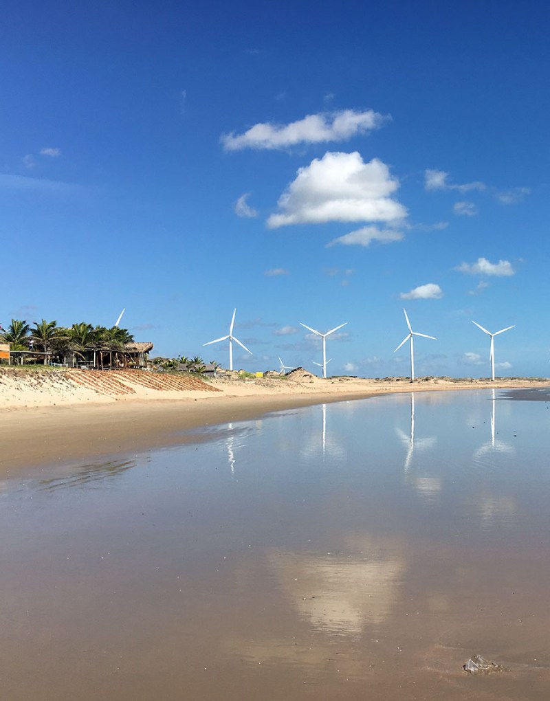 windmills at the beach