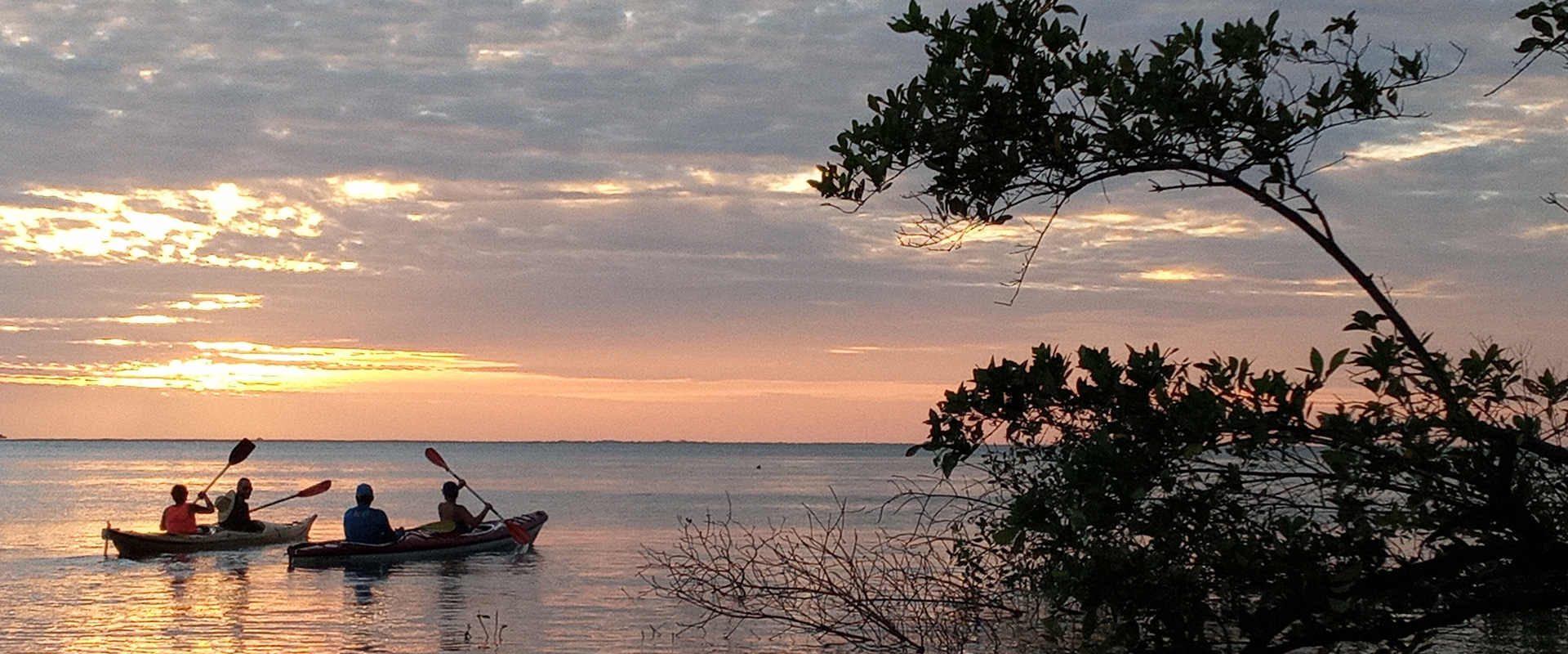 A group of people Kayaking enjoying the Sunset