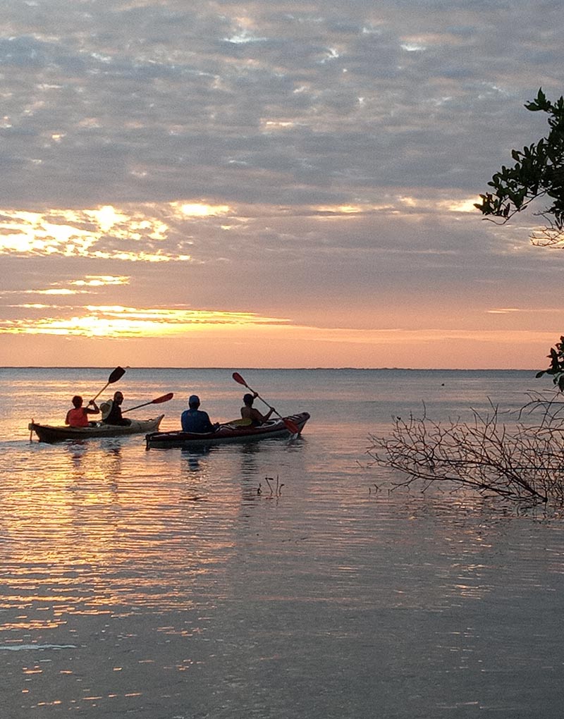 two sets of people on a kayaking tour in Atins
