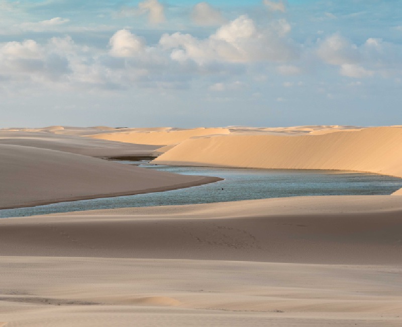 desert in the evening