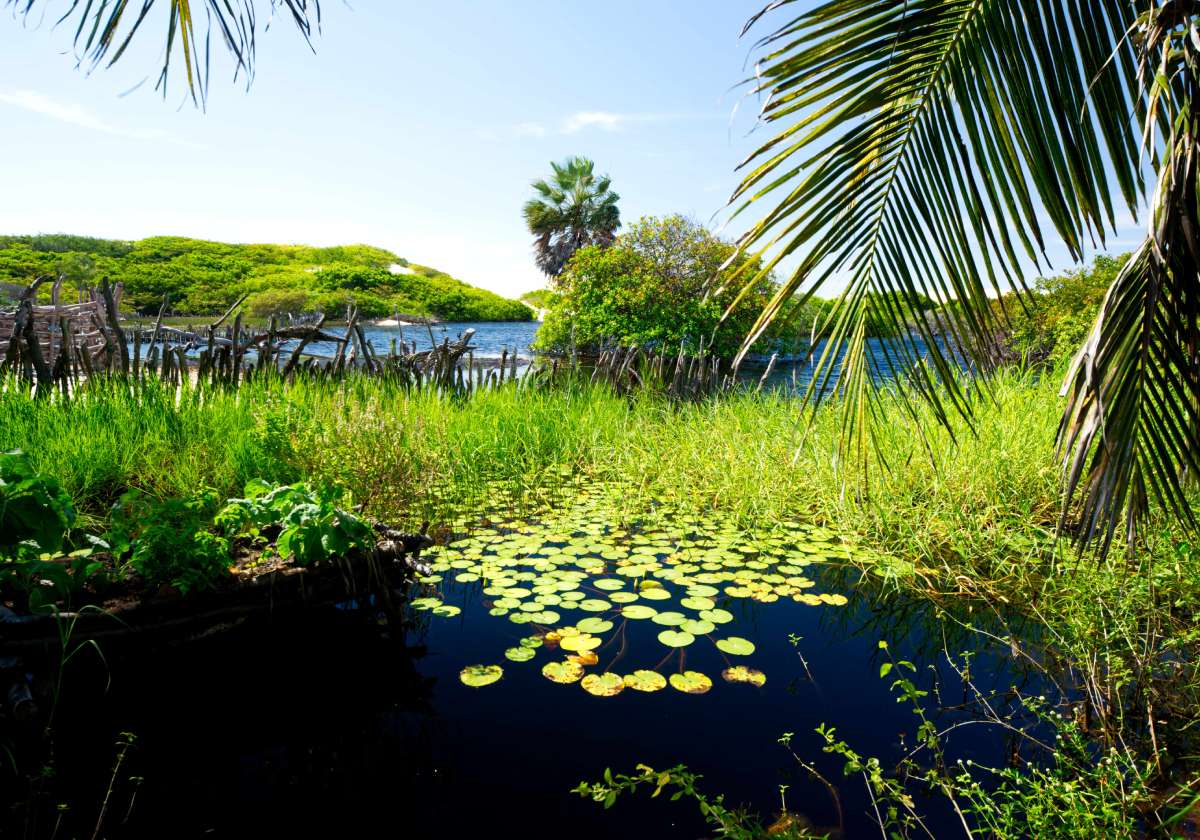 A scenic view at a stop in Lençóis